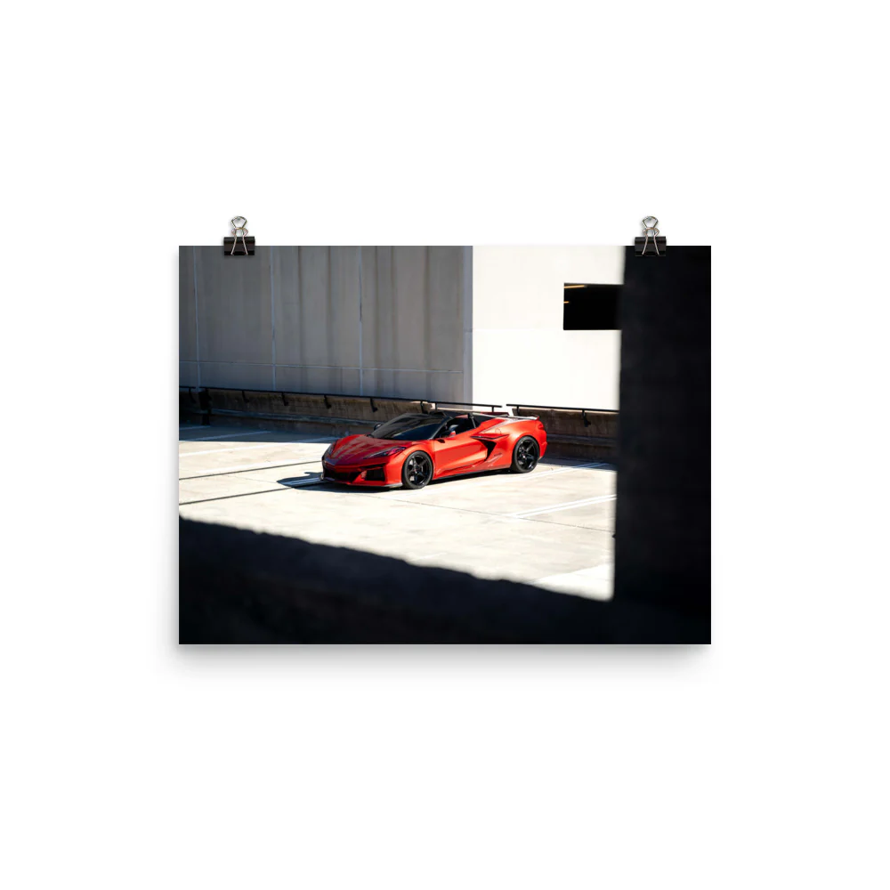LGND43 Sunbathing Poster