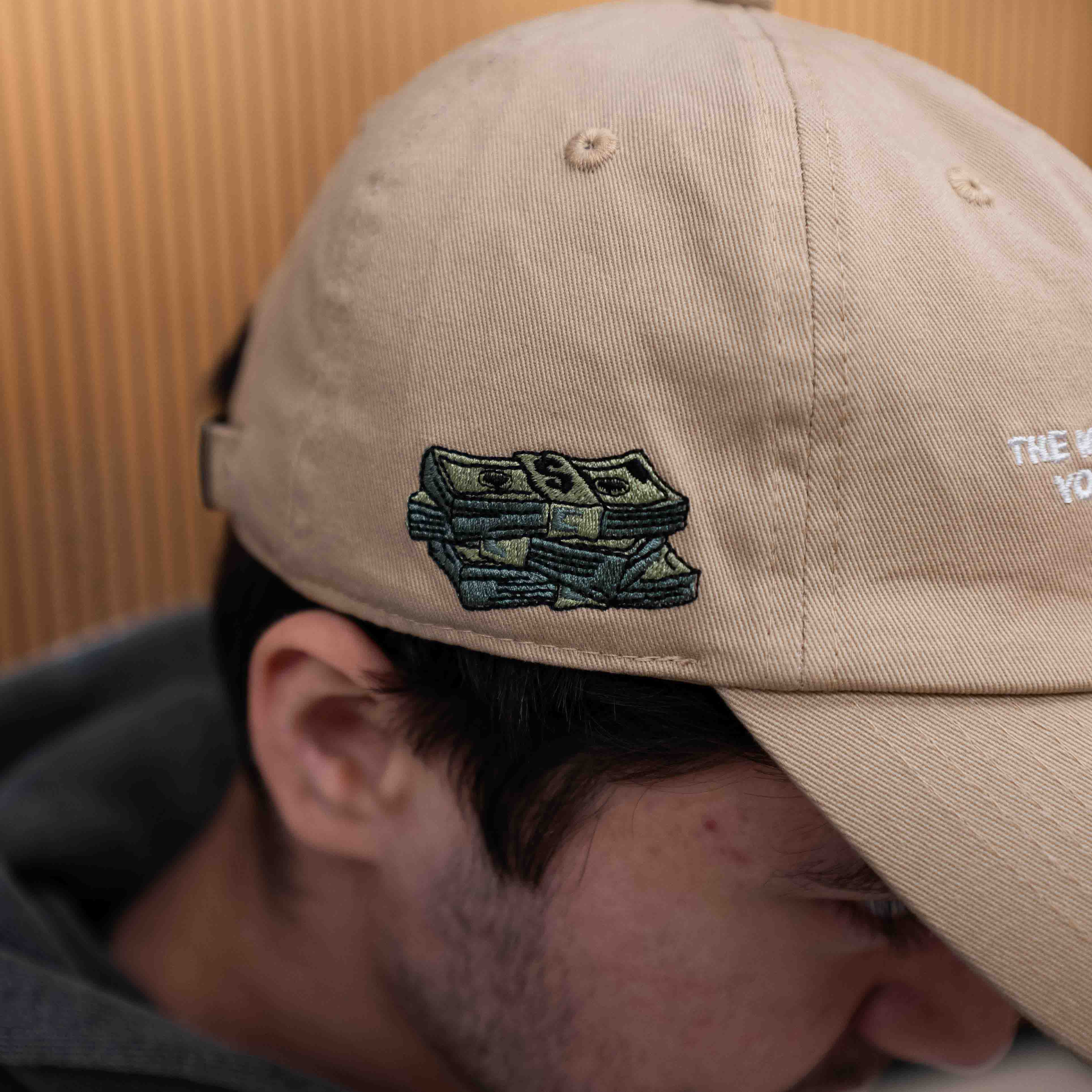 Printed Money Dad Hat - Image 6
